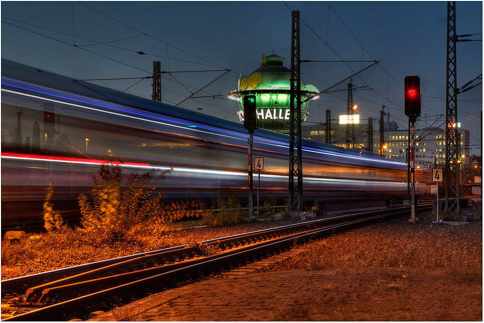 ... Nightlight ... Zoo Halle ...