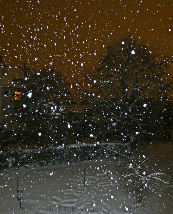 nightly snowfall