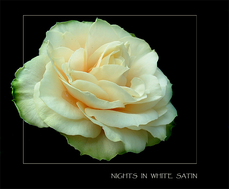 Nights in white Satin