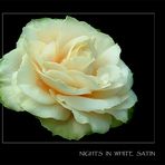 Nights in white Satin