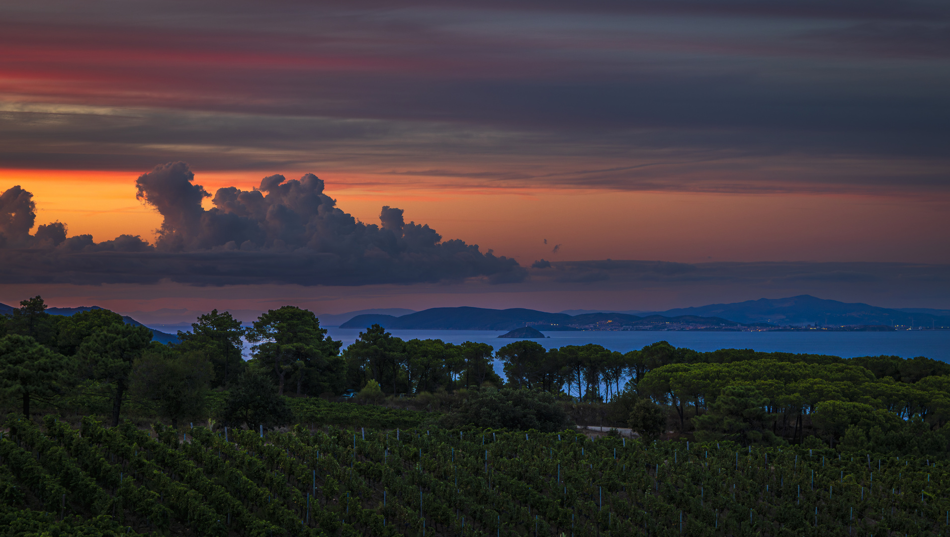 Nights of Elba ( Pausenbild )