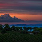 Nights of Elba ( Pausenbild )