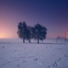 Night`s of winter III