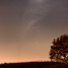 Nightsky Tree‘s