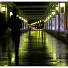 Nightwalkers in Nizza