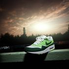 Nike Air Max 1 Gorge Green