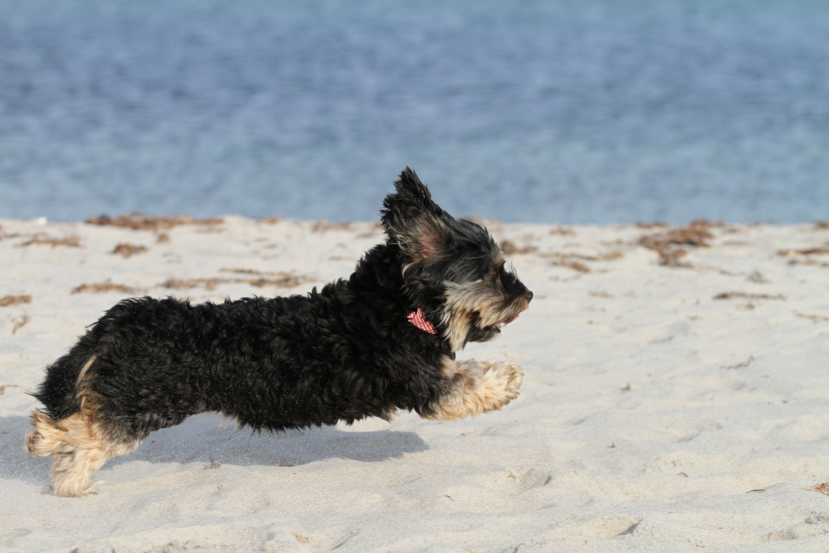 Nike an der Ostsee