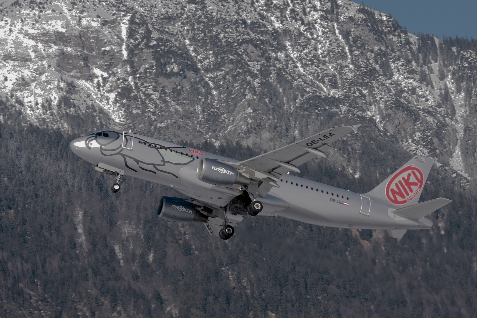 Niki Airbus A320 - MSN 4594 - OE-LEH