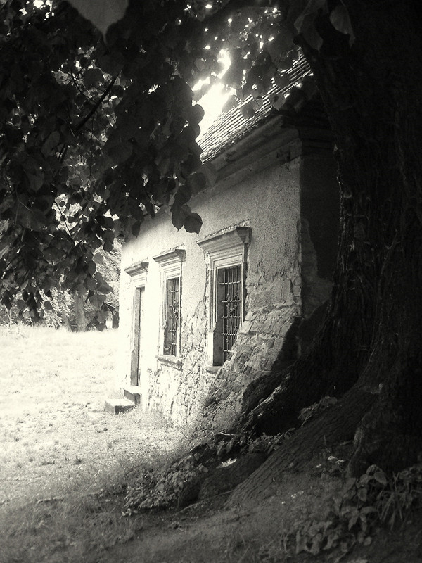 Nikolai-Friedhof Görlitz