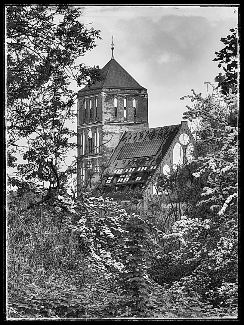 Nikolaikirche Rostock