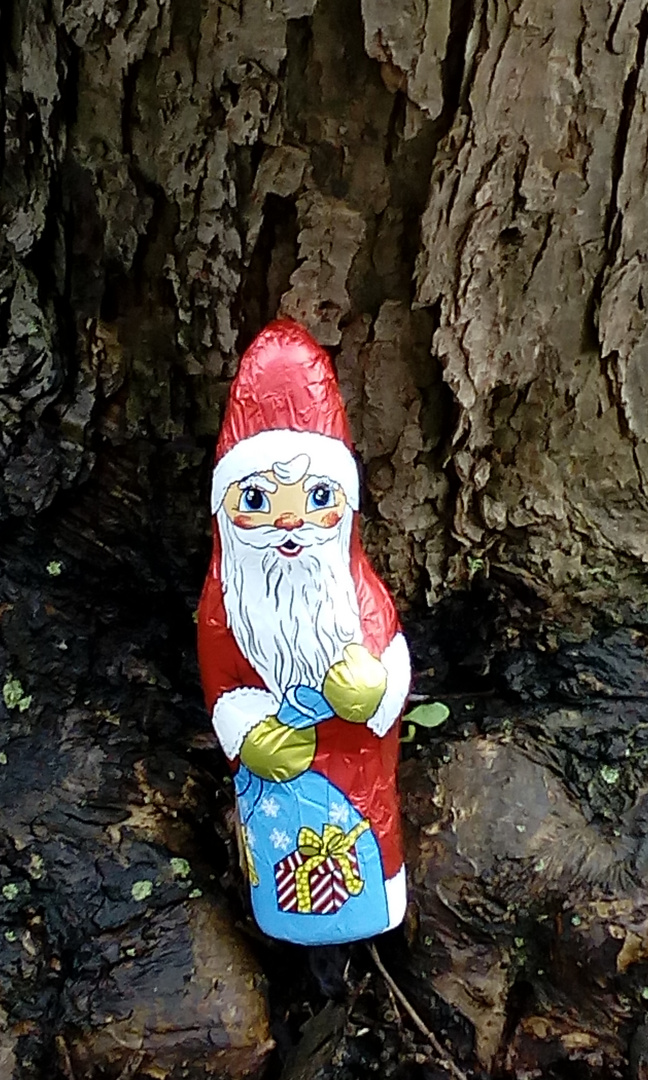 Nikolaus im Walde!