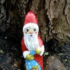 Nikolaus im Walde!