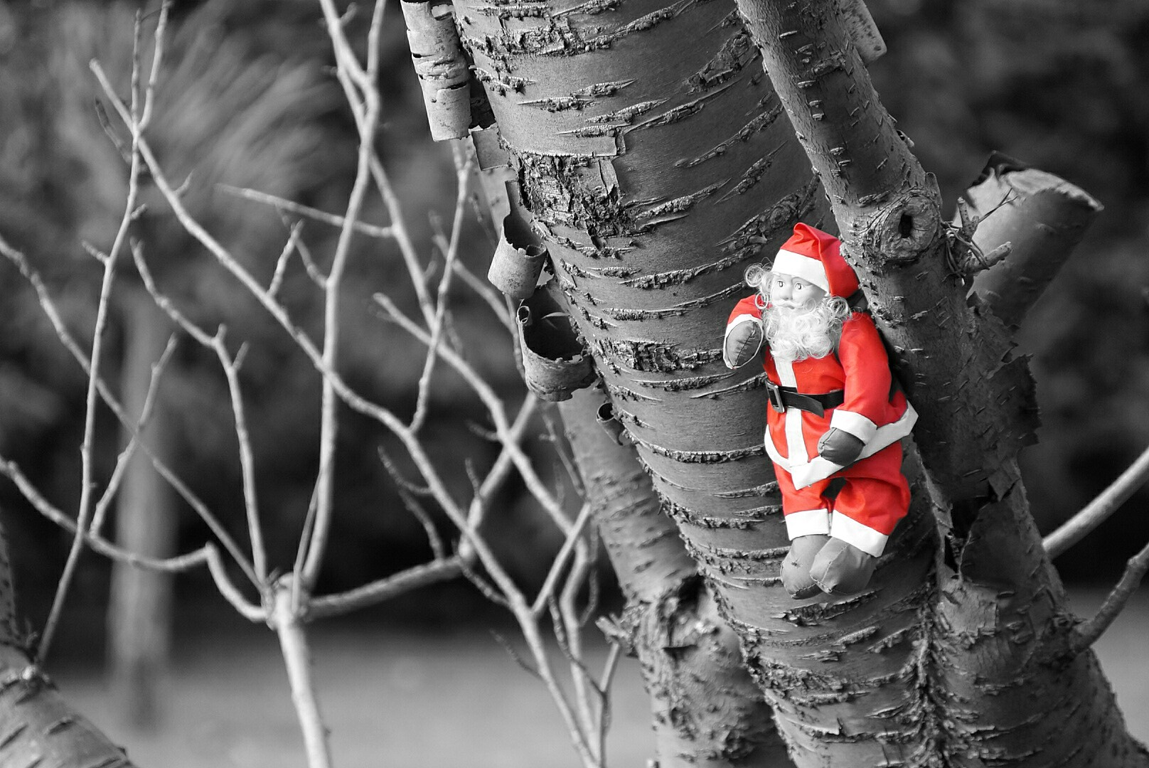 Nikolaus in warte STELLUNG