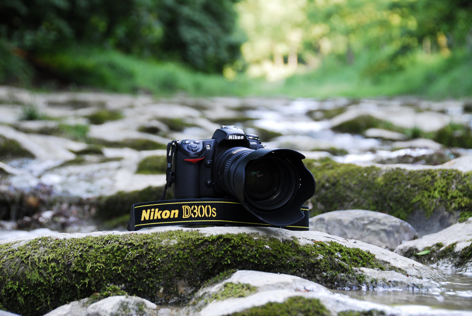 NIKON D300s