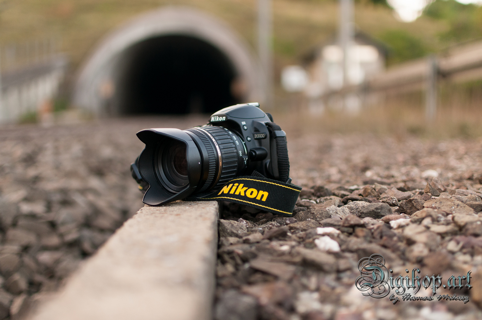 Nikon D3100