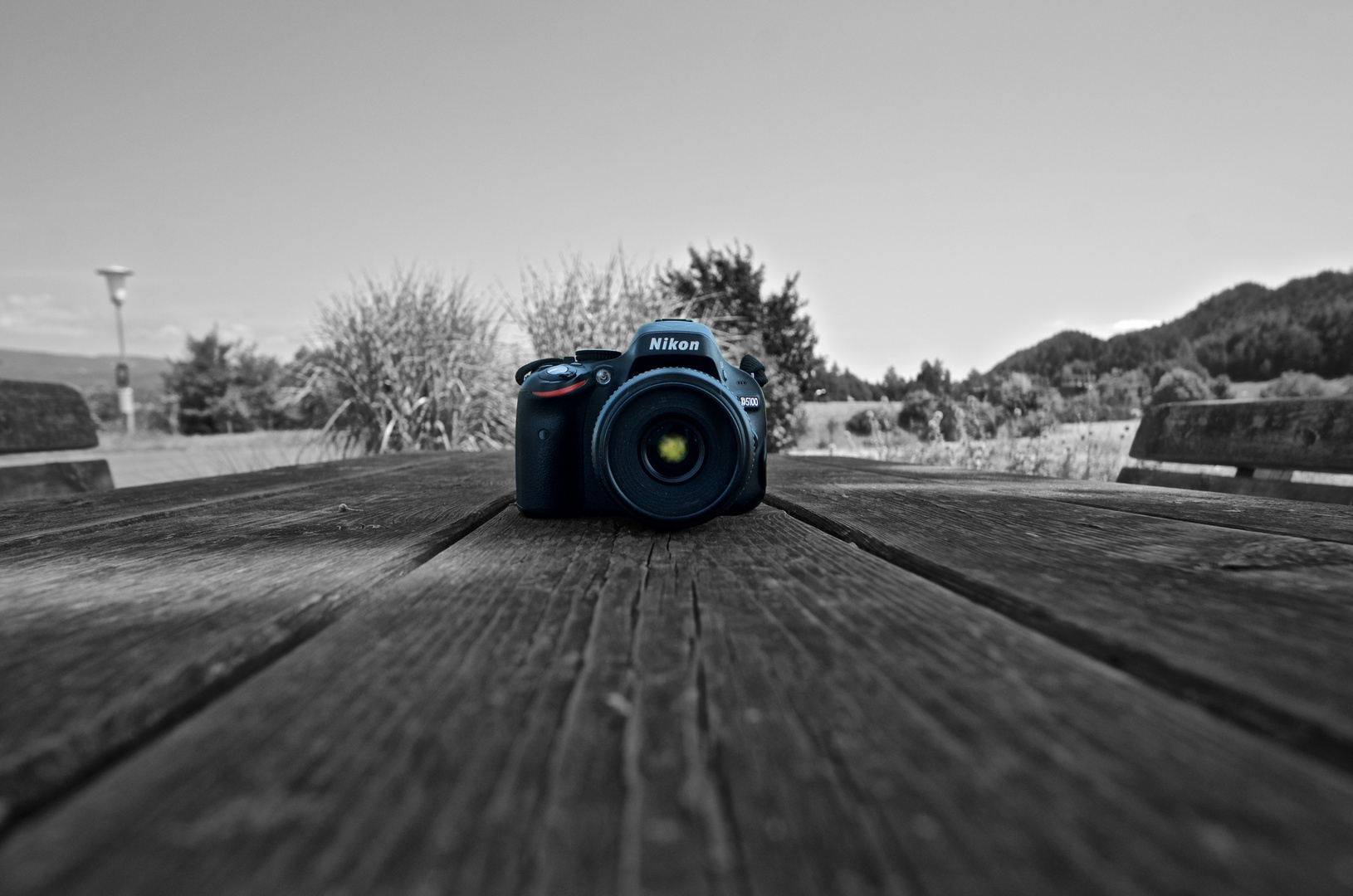 Nikon D5100