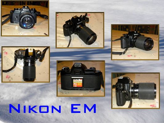 Nikon EM
