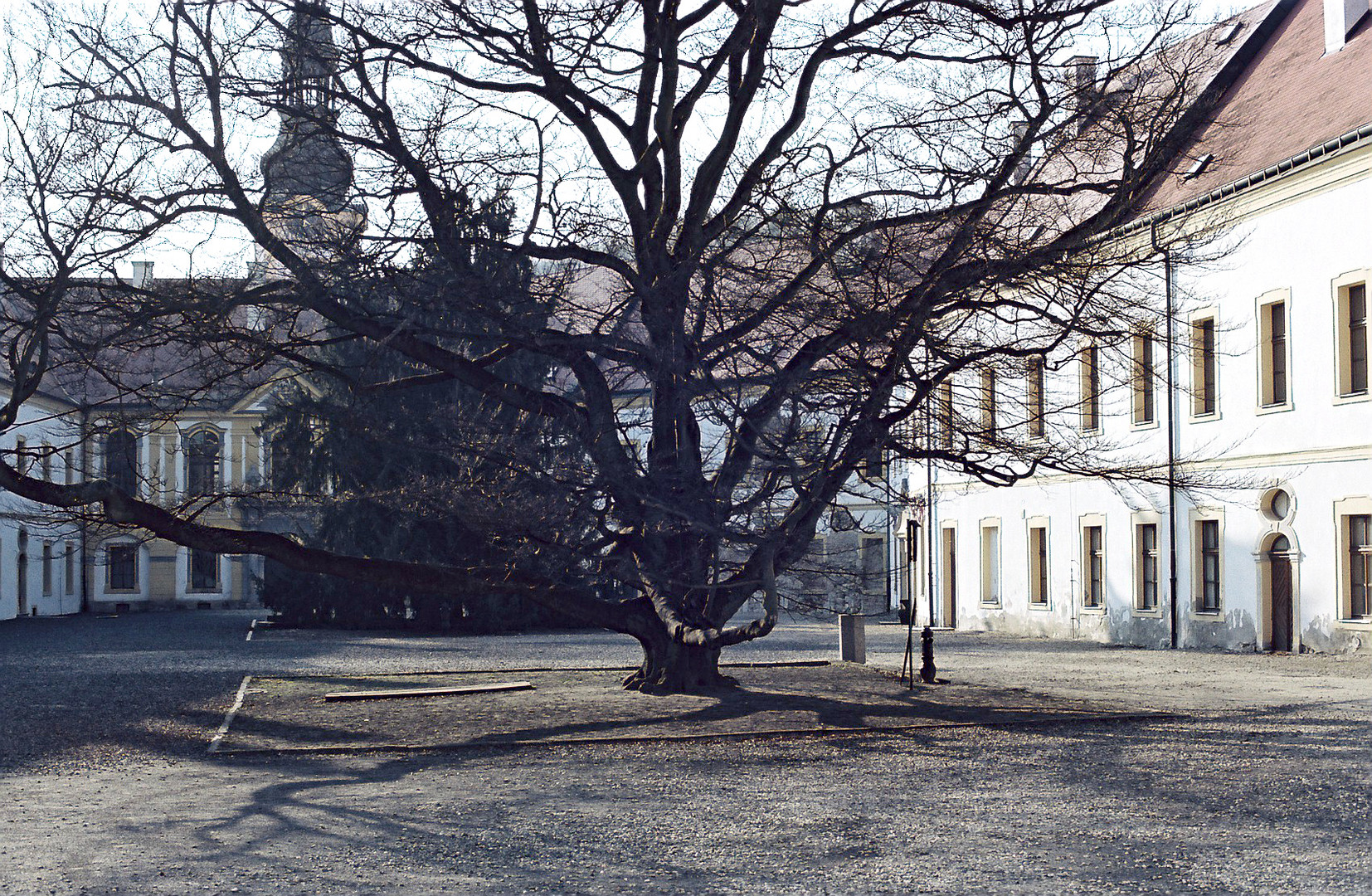 Nikon F90 Kodak Porta 160