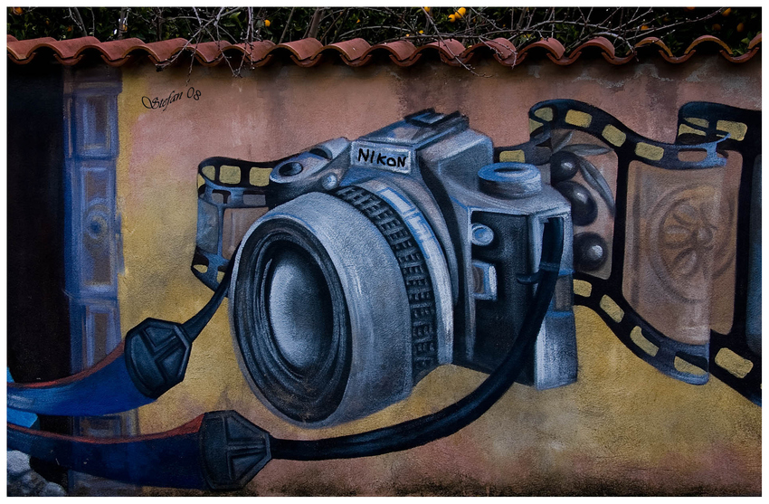 ~ nikon for frends ~