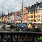 ~ Nikonente im Nyhavn ~