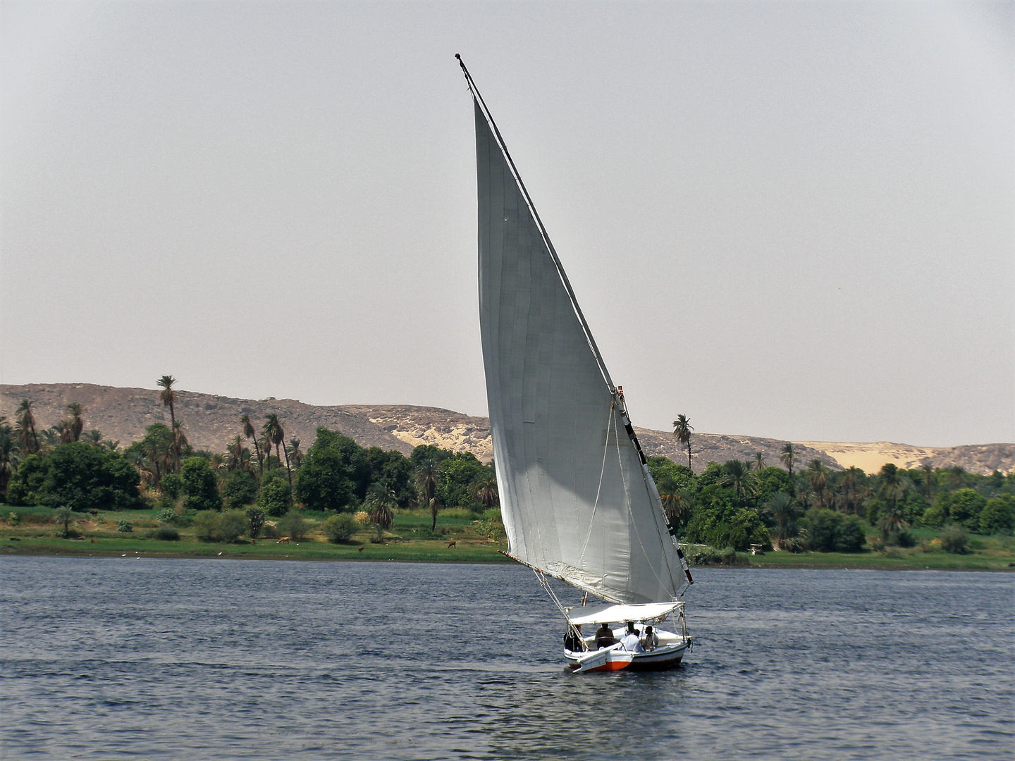Nil Kreuzfahrt
