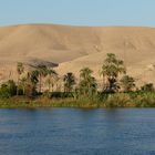 ...Nil - Palmen - und ganz viel Wüste...