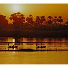 Nile river sunset