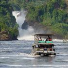 Nilfälle - Murchison Falls National Park-