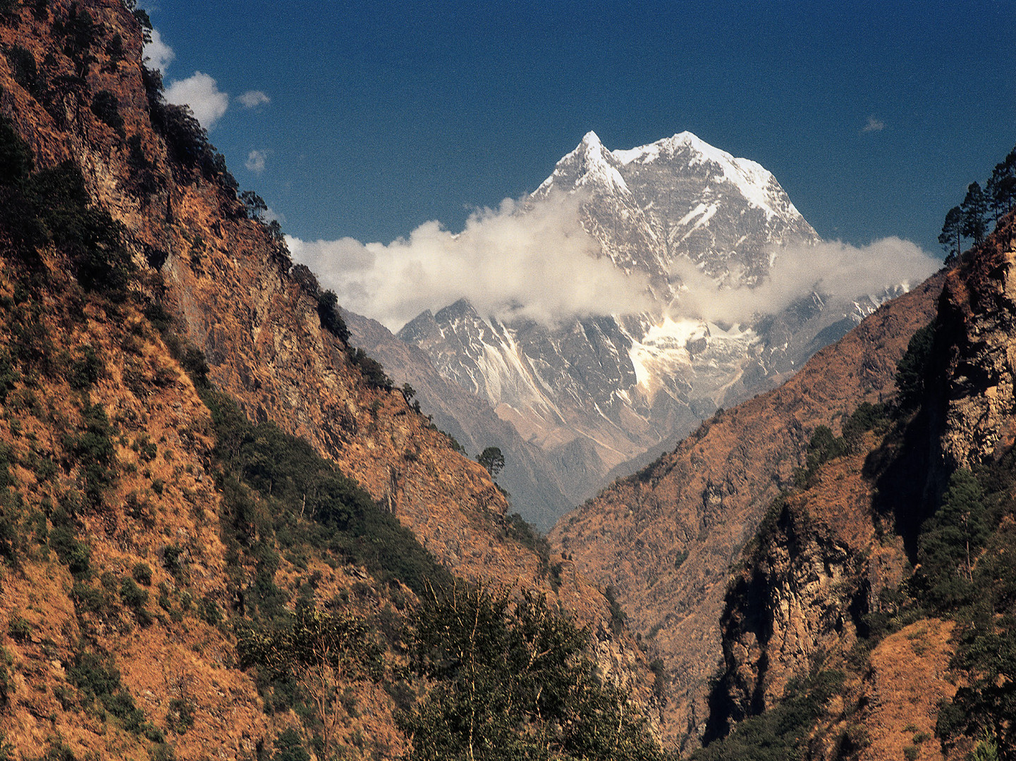 Nilgiri beim Annapurna Trecking