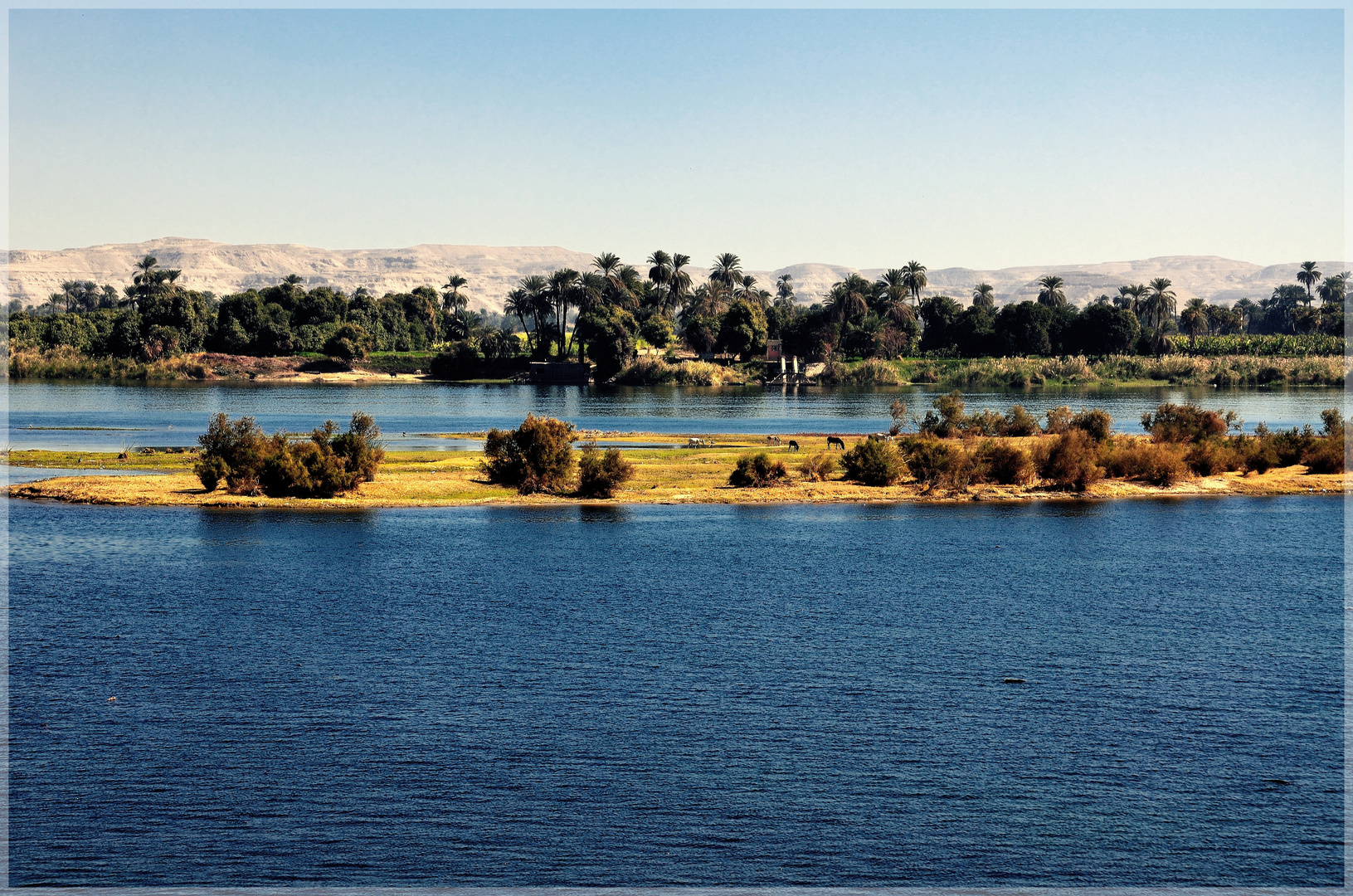 Nilinsel