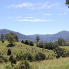 Nimbin Aussichten