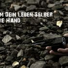 Nimm dein Leben selber in die Hand !!!