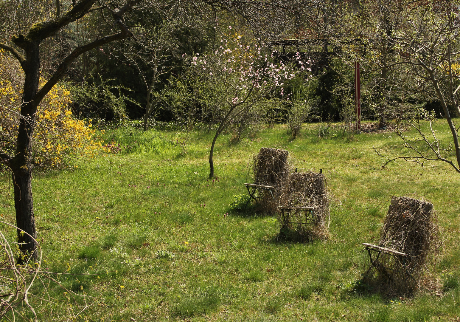 Nimm Platz in meinem Garten