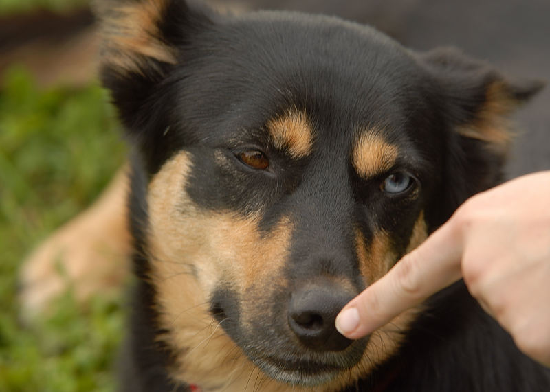 Nimm sofort den Finger von meiner Nase.....