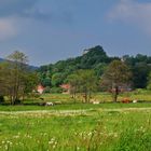 Nimmersath/Plonina/ Blick auf Schlossberg