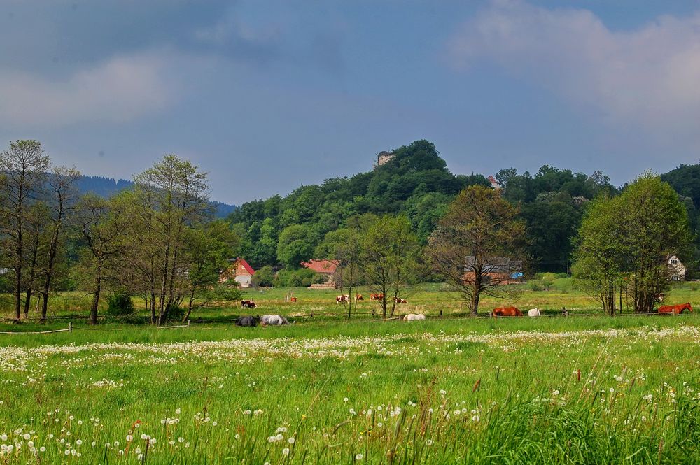 Nimmersath/Plonina/ Blick auf Schlossberg