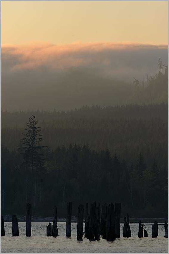 Nimpkish Lake Sunset