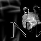 NiN