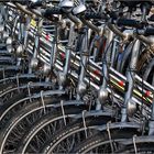 nine million bicycles