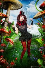 Ninette in Wonderland...