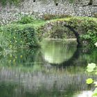 Ninfa: Il Cerchio