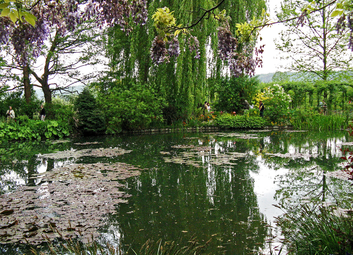 ninfee e riflessi nel giardino di Monet