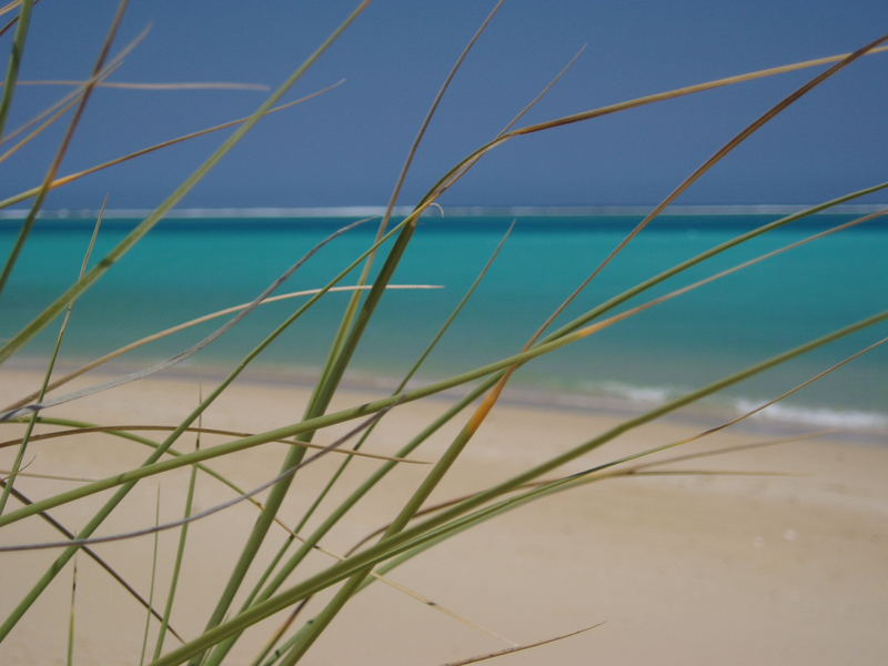 Ningaloo Dünen