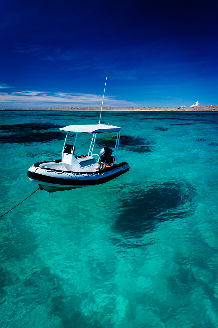 Ningaloo Reef, Exmouth