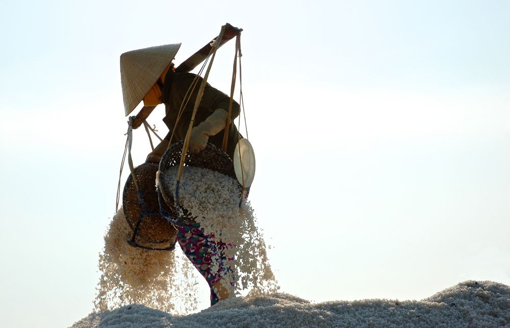 NINH DIEM SALT FIELDS