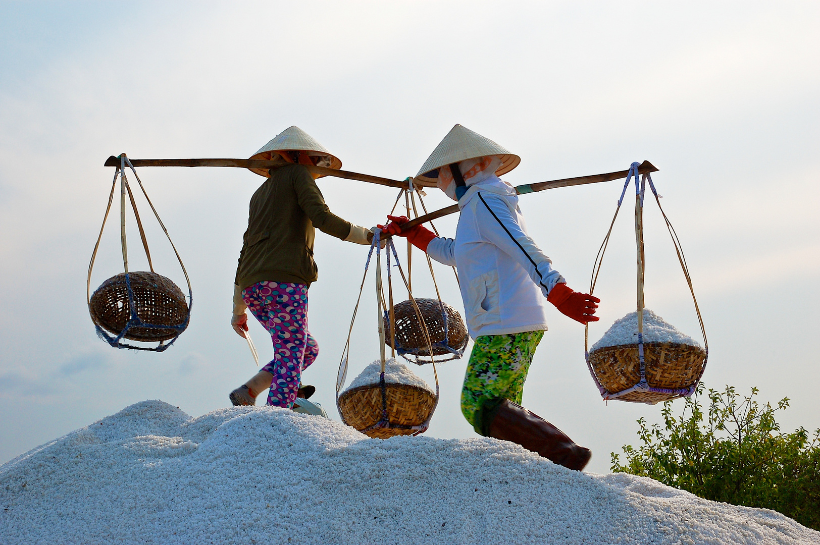 NINH DIEM SALT FIELDS #9