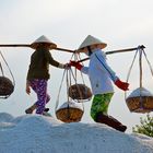 NINH DIEM SALT FIELDS #9