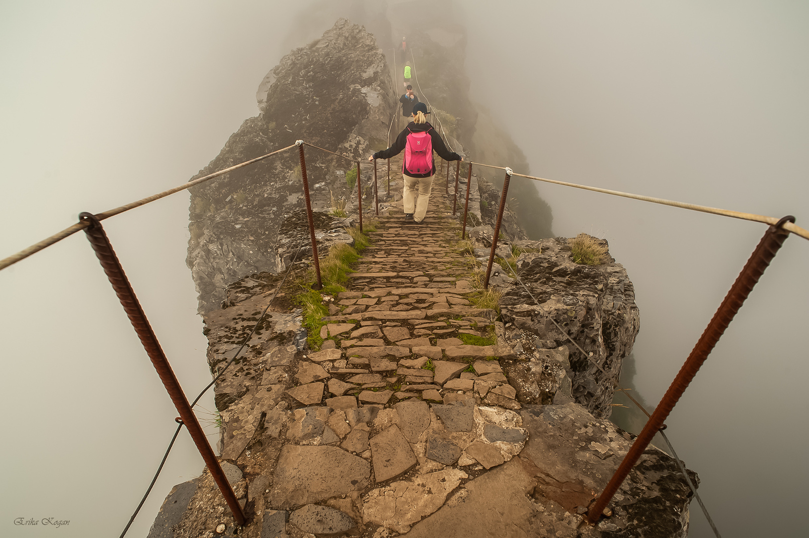 Ninho da Manta, Madeira