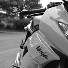 Ninja 600cc