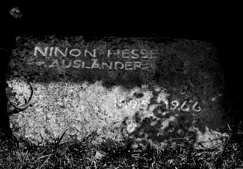 Ninon Hesse